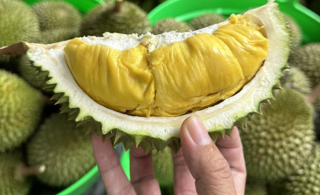 Tin vui cho trái cây Việt Nam