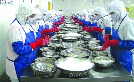 Xuất khẩu ghi nhận đà tăng trong 3 tháng liên tiếp