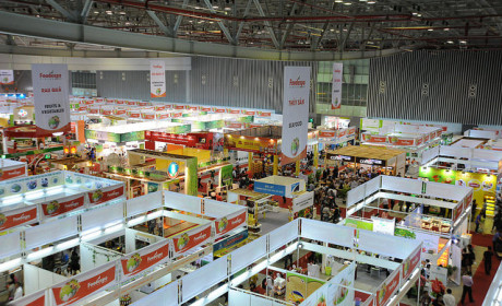 Chương trình Xây dựng Chiến lược Thương hiệu ngành thực phẩm Việt Nam