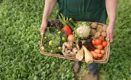 Chiến lược “Từ trang trại đến bàn ăn”: Cơ hội đề ngành thủy sản Việt Nam chuyển đổi phù hợp và phát triển bền vững, tận dụng cơ hội từ các FTA