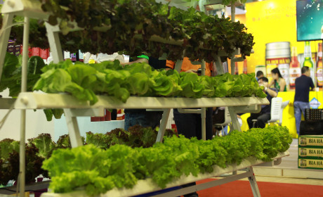 Rau quả xuất siêu 1,5 tỷ USD