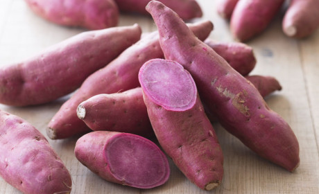 Vĩnh Long đưa khoai lang “cực phẩm” tới Vietnam Foodexpo 2017