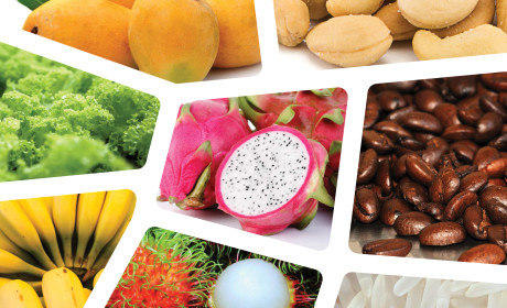 Mekong Food Group:  Giới thiệu sản phẩm nông, thủy sản Việt Nam chất lượng cao đến khách hàng quốc tế tại Vietnam Foodexpo 2017