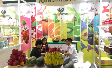 Trái cây Việt Nam tham dự Hội chợ Hoa quả quốc tế Quảng Châu 2018