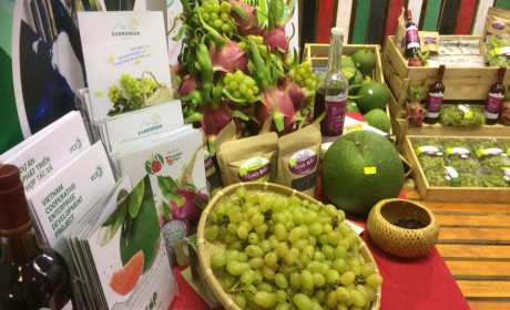 Dự án VCED hỗ trợ các hợp tác xã tìm hiểu thị trường nông sản từ Vietnam Foodexpo 2018