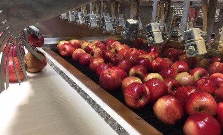 Hương vị Hà Lan tại Vietnam Foodexpo 2018