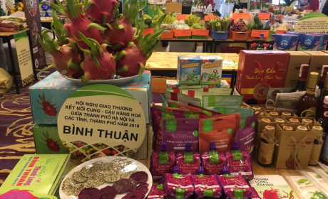 Các sản phẩm giá trị gia tăng từ thanh long được du khách đánh giá cao tại Vietnam Foodexpo 2018