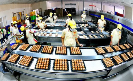 Big investments poured into various segments of Vietnam’s agri-food sector amid world trade uncertainties