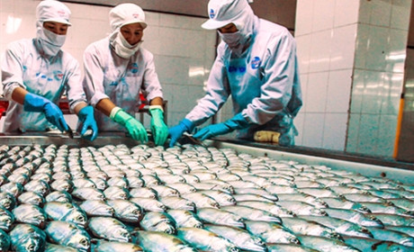 Vietnam to make efforts to stop origin fraud when wood, seafood exports under duty threats in the US market