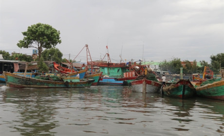 Thu nhập ngư dân Việt Nam tăng nhờ ứng dụng các thiết bị công nghệ cao