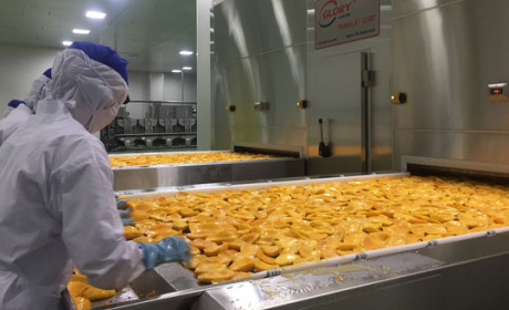 Agricultural production: businesses make big investments in processing