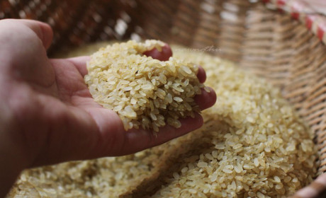 Úc đưa ra yêu cầu mới đối với gạo đồ nhập khẩu