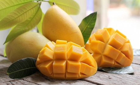 Vietnamese mangoes enter Chilean market