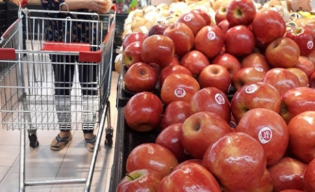 Demand for organic food soars in Ho Chi Minh City