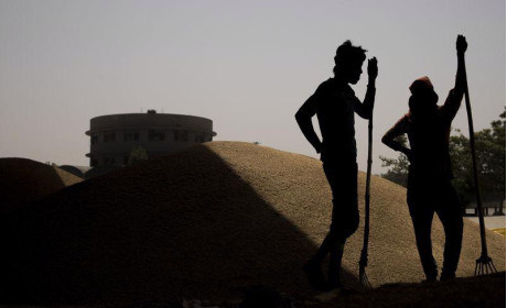 Ấn Độ hạn chế xuất khẩu gạo, cơ hội nào cho Việt Nam và Thái Lan?