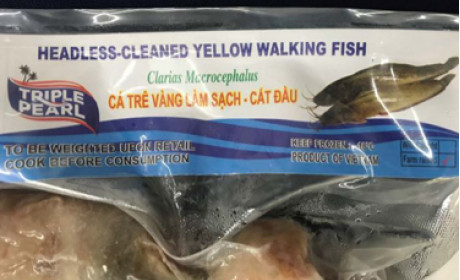 Thêm các lô hàng cá trê Việt Nam bị thu hồi tại Mỹ
