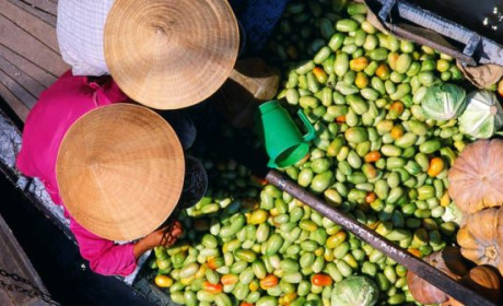 Origin traceability regulations for foodstuff to come into force in mid-Oct