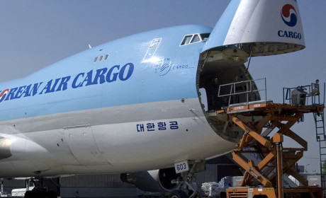 Tăng nhu cầu đối với thủy sản đang tạo ra nhiều cơ hội cho vận chuyển hàng không và cảng hàng không