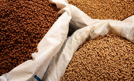 Triển vọng ngành thức ăn chăn nuôi Việt Nam năm 2019