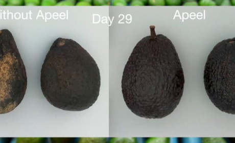 Công nghệ màng bọc tiên tiến giúp kéo dài gấp đôi thời hạn sử dụng rau quả