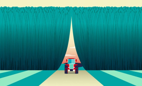 Các loại phân bón thông minh có thể làm giảm ô nhiễm môi trường đồng thời duy trì tăng trưởng sản lượng lẫn chất lượng