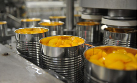 Vietnam’s businesses spend big money on fruit processing technology
