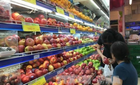 Viet Nam an ideal market for foreign fruit exporters