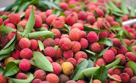 Trung Quốc thắt chặt các yêu cầu nhập khẩu rau quả từ Việt Nam