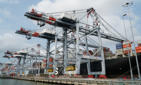 Vietnam’s position in global supply chain remains strong: analysts