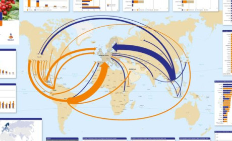 A Coffee Map Companion: Consumer Trends Drive Coffee Flows