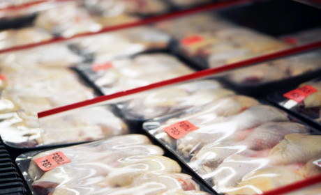 Rabobank increasingly optimistic about global poultry market