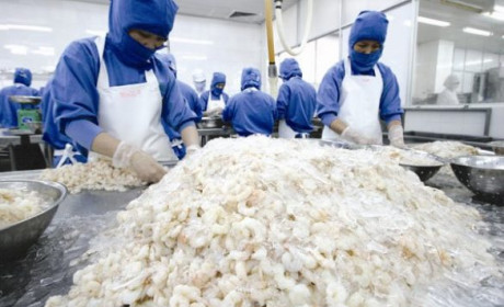 Nhật Bản tiếp tục là điểm sáng của xuất khẩu tôm Việt Nam quý 1/2019