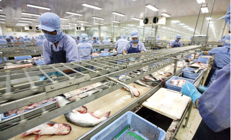 Xuất khẩu thủy sản trên đường về đích 10 tỷ USD