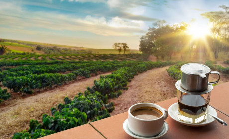 How Brazil and Vietnam are tightening their grip on the world's coffee