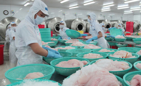 US reduces import duties on Vietnamese tra and basa fish