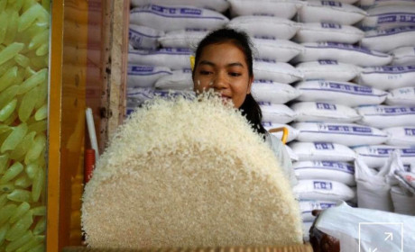 More Cambodian farm produce enters Vietnam