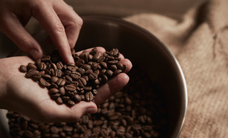 “Cơn sốt” giá cà phê có thể kéo dài tới 2022