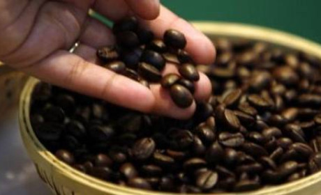 Sản lượng cà phê Indonesia cao nhất trong 4 năm, nguồn cung tăng tiếp tục gây sức ép lên giá cà phê