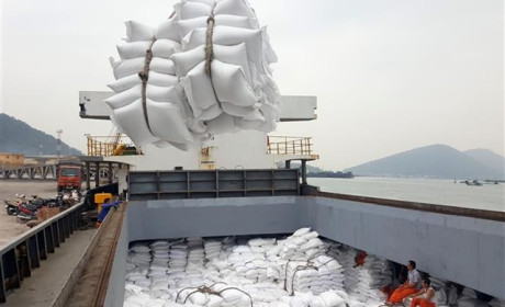 Vietnam rice exporters expect higher prices as India slaps curbs to reduce global supply