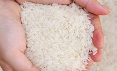 Nhu cầu gạo thơm tại Mỹ tăng mạnh – cơ hội cho xuất khẩu gạo Việt Nam