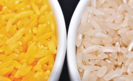 Gạo vàng bất ngờ khuấy đảo chính trường Philippines