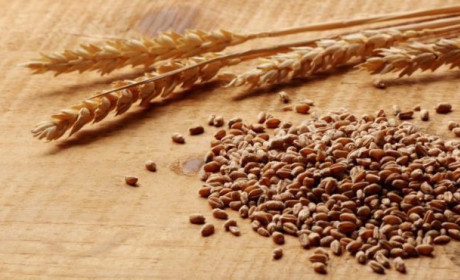 Giá thực phẩm thế giới tăng liên tục trong 5 tháng đầu năm 2019