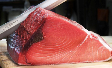 Công nghệ Nhật giữ cá ngừ tươi 20 ngày, rau củ dùng được trong 2 năm