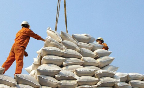 Trị giá xuất khẩu gạo của Việt Nam giảm mạnh trong 5 tháng