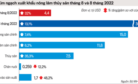 Khai thông, đẩy mạnh xuất khẩu thị trường nông lâm thủy sản