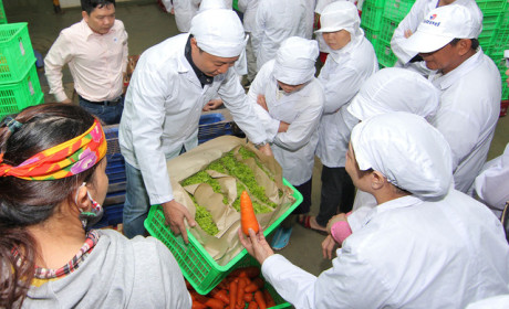 MM Mega Market Việt Nam ký kết hợp tác xuất khẩu nông sản Việt sang thị trường Singapore