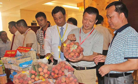 Thương nhân Việt bất ngờ với nhiều quy định mới của Trung Quốc