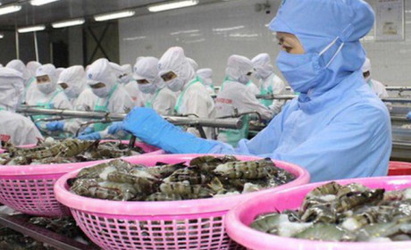 212 mặt hàng thuỷ sản được hưởng thuế 0% ngay khi EVFTA có hiệu lực