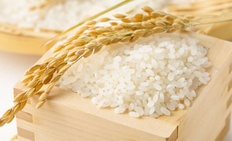 Xuất khẩu gạo Châu Á khó khăn, giá trì trệ do cước vận tải quá cao và thiếu tàu