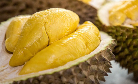 Bảy tấn sầu riêng đông lạnh Việt bán hết sau vài giờ đến Australia